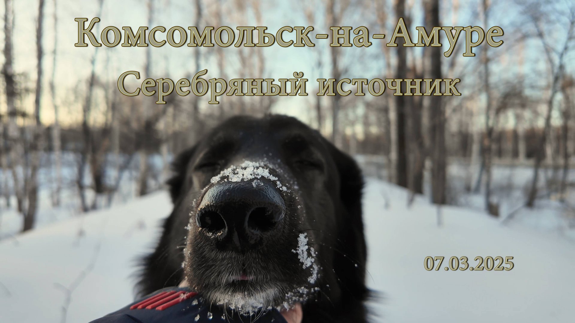 Комсомольск-на-Амуре. Серебряный источник. DJI Osmo Pocket 3. смотреть онлайн