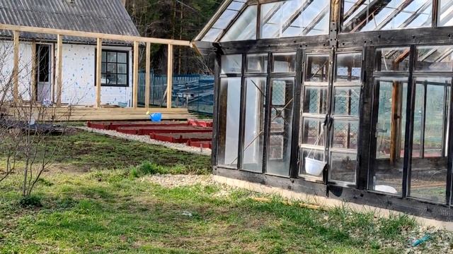 ОБУСТРАИВАЕМ ЗАБРОШЕННУЮ ДАЧУ 🏡 Все посадила 🌽🥕🥬