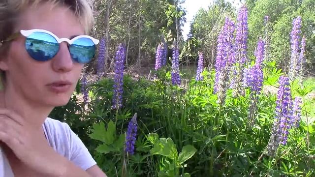 Наш участок и в фас, и в профиль