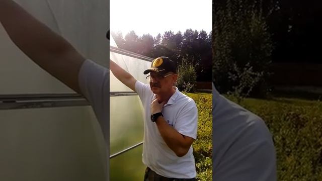 Отзыв на теплицу Сибирская 40ц 0,5 8 метров смотреть онлайн