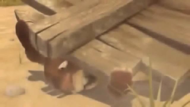 Бобёр и морковка