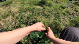 КРУПНЫЙ КАРАСЬ на ПРОБКУ и не только! ЛОВЛЯ КАРАСЯ В КОНЦЕ АПРЕЛЯ! РЫБАЛКА В ПОДМОСКОВЬЕ! КАРАСЯМБА