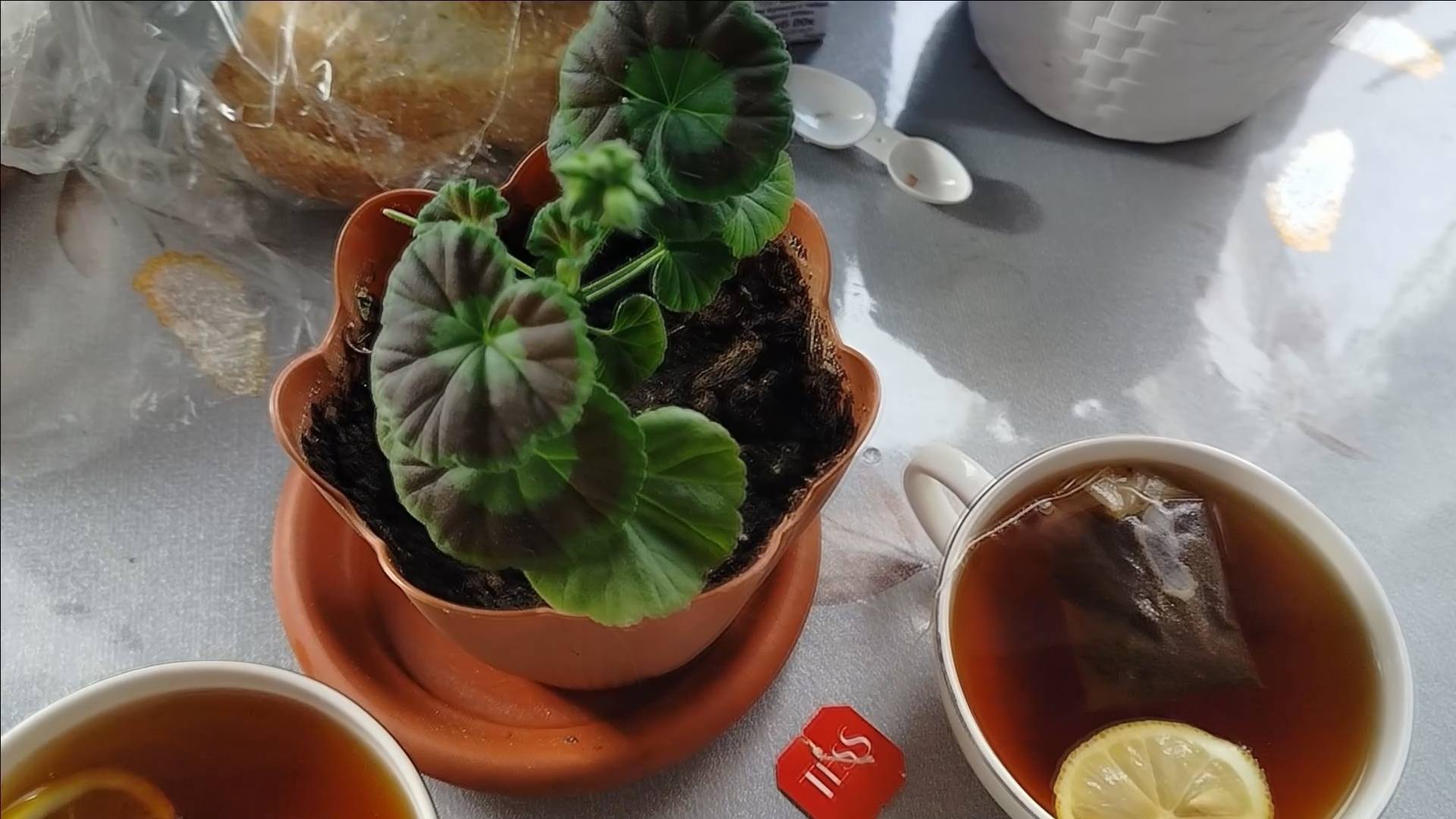 ПРОСТАЯ ЖИЗНЬ 45//ВЫБИРАЮ ПОДАРКИ //ЖДУ СОВЕТА //С 8 МАРТА//ЖИЗНЬ ПРОСТЫХ ЛЮДЕЙ смотреть онлайн