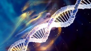 Матрица Гаряева – Восстановление организма после 50 лет