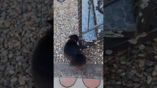 Боня встречает маму с работы смотреть онлайн