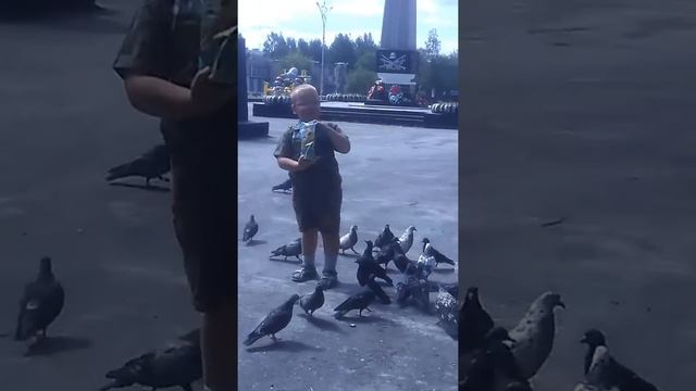 Кормим голубей смотреть онлайн