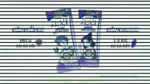 Nuvi Nuoc Rau Cu Qua Logo Effects(Sponsored By NEIN Csupo Effects)