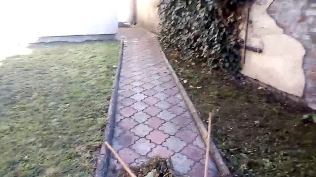 psen to te 🍽️ смотреть онлайн