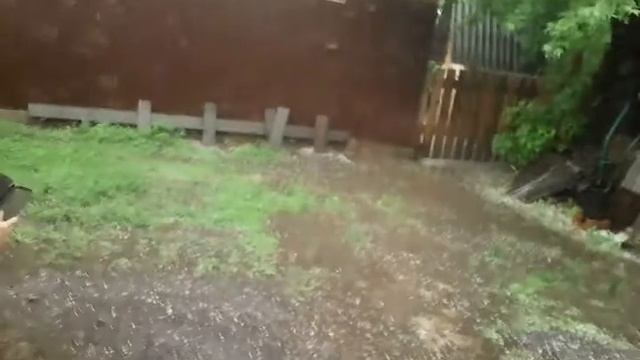 В Омске град побил растения!!!🌱 смотреть онлайн