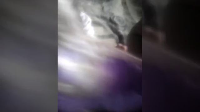 Barbos en casa смотреть онлайн