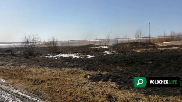 Вышний Волочёк, жгут траву смотреть онлайн