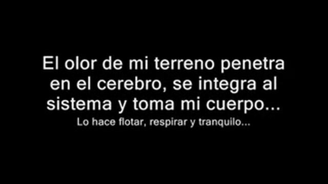 Sí señor. (Letra) CONTROL MACHETE смотреть онлайн