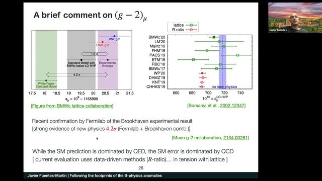 Following the Footprints of the B-physics Anomalies - Javier Fuentes смотреть онлайн