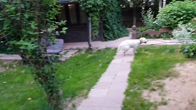 Заводная. смотреть онлайн