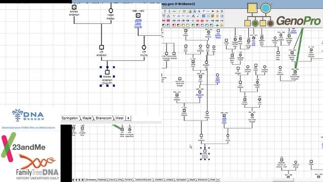 genealogy work on genopro смотреть онлайн