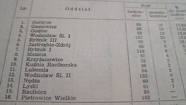 Dominacja Śląskich gołębi w mistrzostwach w latach 90 oraz liczebność oddziałów - trochę historii. смотреть онлайн
