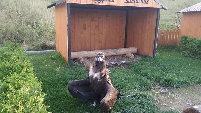 калуга смотреть онлайн