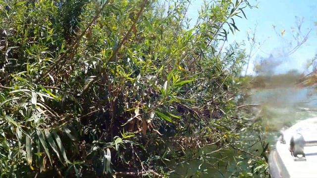 Mile Square Park - What's In The Water:  Part 8