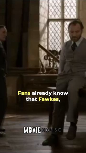 Did you know that in Fantastic Beasts: The Crimes of Grindelwald смотреть онлайн