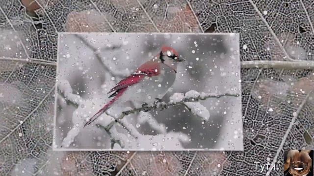 зимнее настроение  с прекрасной музыкой- Yello – Capri Calling