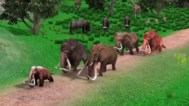 3 Woolly Mammoth Mastodon Vs 3 Tiger Wolf Bull Attack Cow Buffalo | Lion Vs Black Jaguar Animal Bat смотреть онлайн