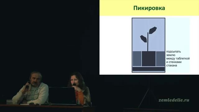 Выращивание рассады смотреть онлайн