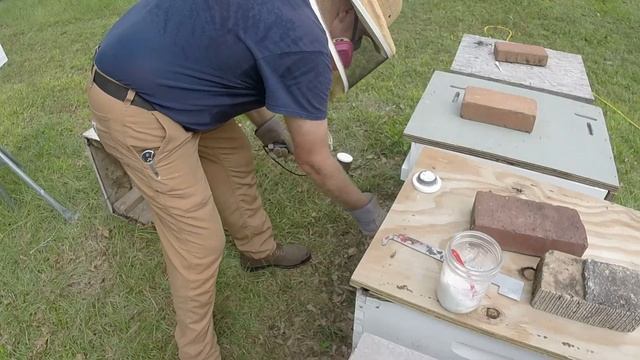Varroa Destructor Extermination, I Hope...