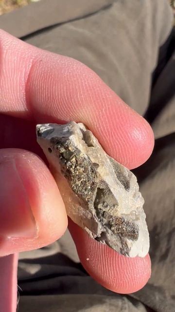 Pyrite On Matrix 😎- Short 204 смотреть онлайн