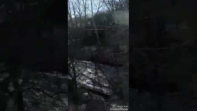 ВИКА НЕ ДАЛА МНЕ СОСИСКУ ЗА ТО ЧТО Я ПЕРЕПРЫГНУЛА КОРОБКУ. смотреть онлайн