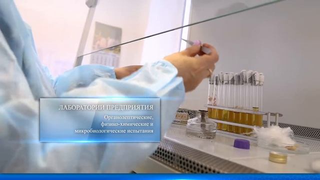 Фильм о Скопинском мясоперерабатывающем комбинате смотреть онлайн