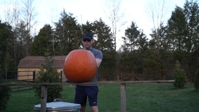 Ronin Katana bare blade cutting test on a pumpkin смотреть онлайн
