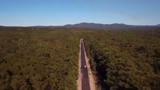 Любуясь на красивую покойницу, могильщик не удержался и тоже решил попрощаться с ней, поцеловав… смотреть онлайн