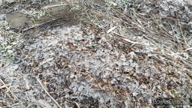 Пермакультура. Ландшафт - водовідведення чи водоутримання? Як рівномірно розподіляти вологу. смотреть онлайн