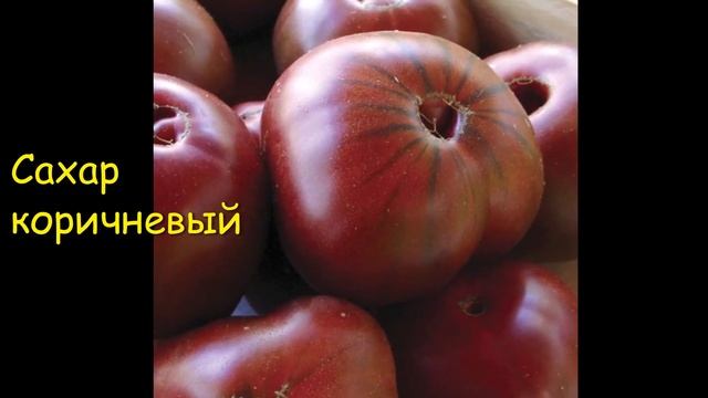 Часть 6 (обновленная) КАТАЛОГА ТОМАТОВ на 2023 г. г. Киров. Ватсап тел. 89229284031