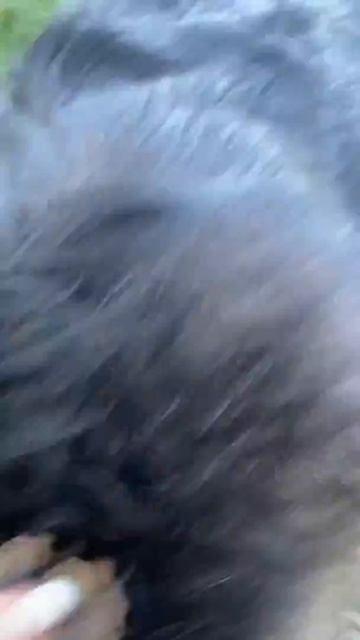 Атос - Крупный мальчишка для устрашения, но вместе с тем - ласковый плюшевый мишка для души. смотреть онлайн