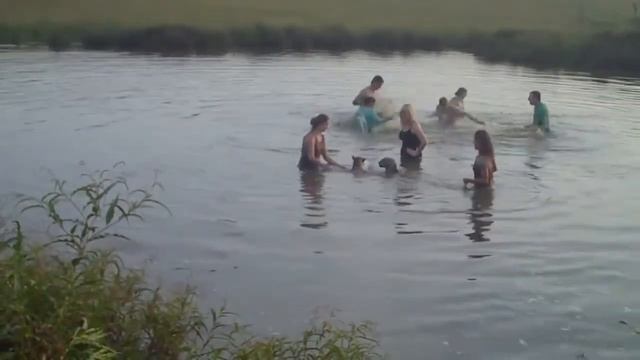 playing with the jaguars in the water смотреть онлайн