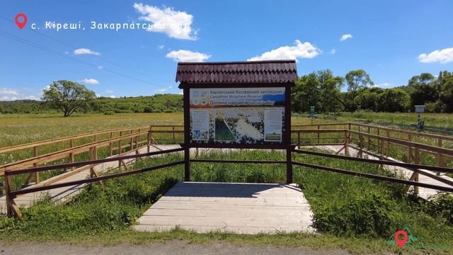 Долина Нарцисів на Закарпатті смотреть онлайн