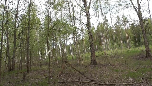 Дыхание весенней природы. смотреть онлайн