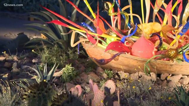 Chihuly in the Desert back at the Desert Botanical Garden after 8-year hiatus смотреть онлайн