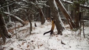 Кокотова_Приморский край