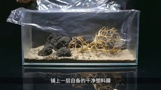 ตู้ปลาอัจฉริยะ Xiaomi PETKIT [Twilight and Shadow] Smart Aquarium Eco-Friendly Fish Tank смотреть онлайн