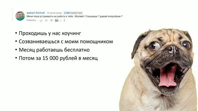 InShot 20180306 194743754 сег смотреть онлайн