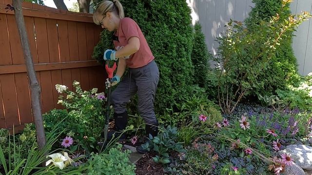 Editing Plants - A Garden Design Technique 🌺✏️🍃 // Suburban Oasis смотреть онлайн