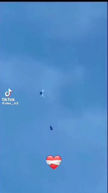 Голуби на заправке выпили бензина, последствия. смотреть онлайн