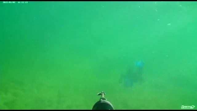 Подводная ахота на кифаль 2015 Актау