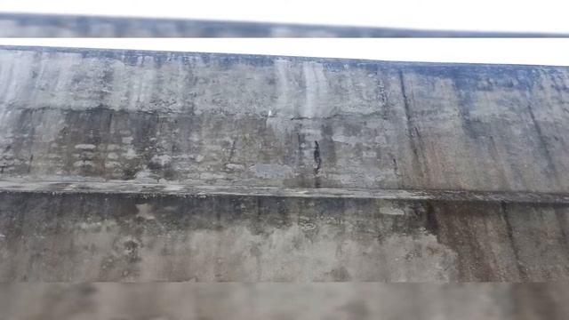 wall crack 🏚️ क्रेक क्यो आते है? Guidelines to Avoid Plastic Shrinkage Cracks| смотреть онлайн