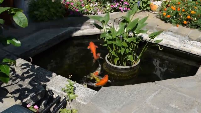 Градинско езеро на Никола Иванов- Разград