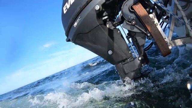 Evinrude/Tohatsu MFS 9,8 With Solas Amita 4 High Trust Propeller