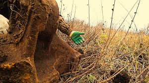 Пять лет искал и вот... Тракторные запчасти, двигатель. Коп металлолома вывожу толковый металл.