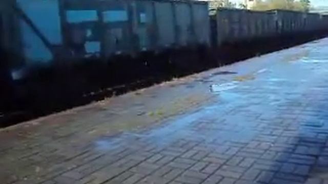 вл80к тифон гудок